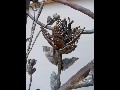 gates_screens.0.1